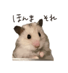 ゆきちとふみ様（個別スタンプ：15）