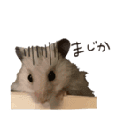 ゆきちとふみ様（個別スタンプ：18）