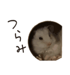 ゆきちとふみ様（個別スタンプ：19）