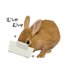 ゆきちとふみ様（個別スタンプ：20）