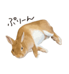 ゆきちとふみ様（個別スタンプ：22）