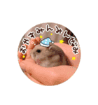 ハロー！ぼひたん（個別スタンプ：3）
