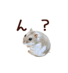 ハロー！ぼひたん（個別スタンプ：6）