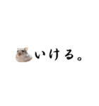 ハロー！ぼひたん（個別スタンプ：10）