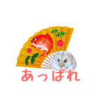 ハロー！ぼひたん（個別スタンプ：13）