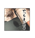 ハロー！ぼひたん（個別スタンプ：14）