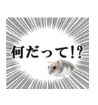 ハロー！ぼひたん（個別スタンプ：19）