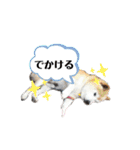 犬のゴンちゃん 3（個別スタンプ：7）