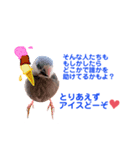 愚痴を聞いてなだめてくれる文鳥（個別スタンプ：1）