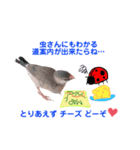 愚痴を聞いてなだめてくれる文鳥（個別スタンプ：3）