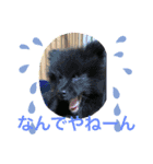 晴れた空とその家族（個別スタンプ：2）