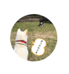 まるまるコンビ4（個別スタンプ：20）