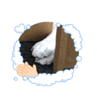 まるまるコンビ4（個別スタンプ：22）