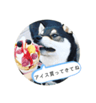 まるまるコンビ4（個別スタンプ：24）