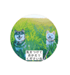 まるまるコンビ4（個別スタンプ：27）