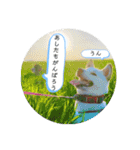 まるまるコンビ4（個別スタンプ：30）