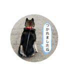 まるまるコンビ4（個別スタンプ：34）
