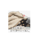 ふらちゃんスタンプだよ（個別スタンプ：4）