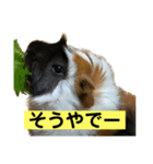 ライトさん1（個別スタンプ：1）