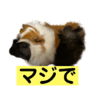 ライトさん1（個別スタンプ：2）