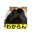 ライトさん1（個別スタンプ：3）