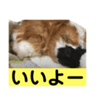 ライトさん1（個別スタンプ：6）
