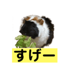 ライトさん1（個別スタンプ：7）
