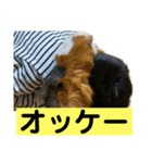 ライトさん1（個別スタンプ：8）