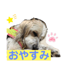 らぶ・すまいる2（個別スタンプ：2）