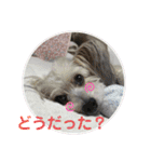 らぶ・すまいる2（個別スタンプ：3）