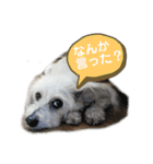 らぶ・すまいる2（個別スタンプ：4）