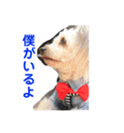 らぶ・すまいる2（個別スタンプ：5）