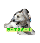 らぶ・すまいる2（個別スタンプ：6）