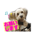 らぶ・すまいる2（個別スタンプ：15）