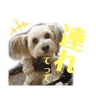 らぶ・すまいる2（個別スタンプ：26）