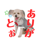 らぶ・すまいる2（個別スタンプ：31）