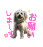 らぶ・すまいる2（個別スタンプ：32）
