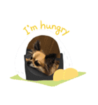 leeeeqooo（個別スタンプ：3）