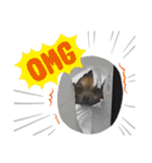 leeeeqooo（個別スタンプ：7）