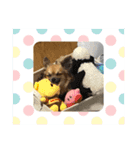 leeeeqooo（個別スタンプ：8）