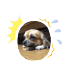leeeeqooo（個別スタンプ：10）