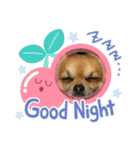 leeeeqooo（個別スタンプ：13）