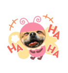 leeeeqooo（個別スタンプ：14）