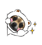 leeeeqooo（個別スタンプ：15）