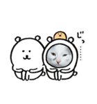 ゴマタン（個別スタンプ：8）