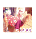 しりまるのスタンプ（個別スタンプ：16）