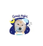 ♯柴犬ソラと猫モモ（個別スタンプ：21）