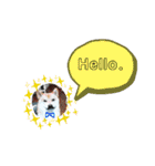 ♯柴犬ソラと猫モモ（個別スタンプ：28）