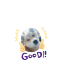 ♯柴犬ソラと猫モモ（個別スタンプ：32）
