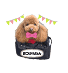 ワンわんこわん（個別スタンプ：2）